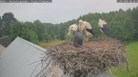 Rudno - Bociany