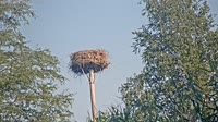 Grabenstätt - Winkl - Bociany
