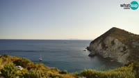 Ponza - Cala Cecata