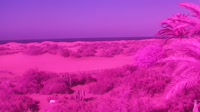 Gran Canaria - Maspalomas - Mirador Dunas