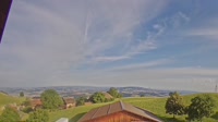 Root - Panoramic view