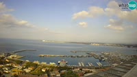 Roses - Fishing Port