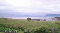 Laukvik