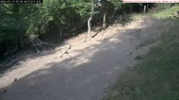 Veszprém - Mangiatoie per uccelli