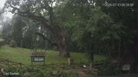 Zagnańsk - Bartek