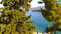 Curzola - Lumbarda Resort Apartments
