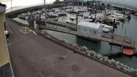 Fenit - Marina