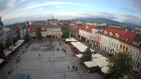 Miniatura