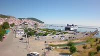 Scopelo - Porto