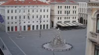Vignette