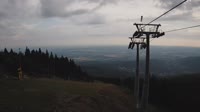 Vignette