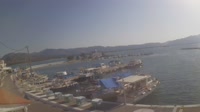 Cervi - Port