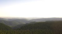Schneekopf - Selva di Turingia