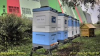 Miniaturansicht