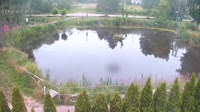 Rąbień - Stagno
