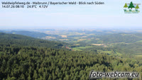 Maibrunn - Waldwipfelweg - Foresta Bavarese