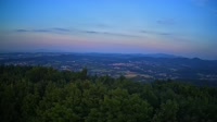Vignette