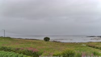 Laukvik