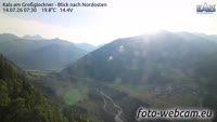 Vignette