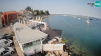 Novigrad - Porporela
