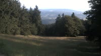 Vignette