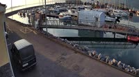 Fenit - Marina