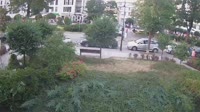 Vignette