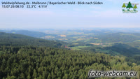 Maibrunn - Waldwipfelweg - Bavarijos miškas