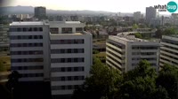 Miniatiūra