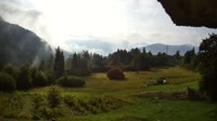 Vignette