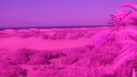 Gran Canaria - Maspalomas - Mirador Dunas