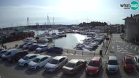 Novigrad - Porporela Marina
