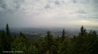 Vignette