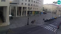 Vignette