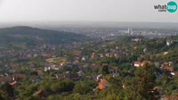 Miniatiūra