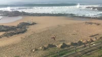 Ballito - Beach