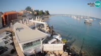Cittanova - Porporela