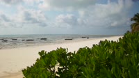 Zanzibar - Plage de Jambiani
