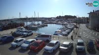 Novigrad - Porporela Marina
