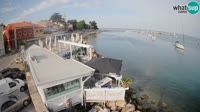 Cittanova - Porporela