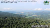 Maibrunn - Waldwipfelweg - Foresta Bavarese