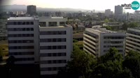 Zagabria - Incrocio stradale - Avenija Marina Držića, Slavonska avenija