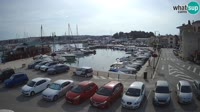 Novigrad - Porporela Marina