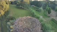 Strzelce - Cigognes