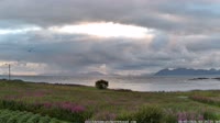 Laukvik
