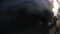 Baška Voda - Borik, Nikolina beach