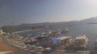 Cervi - Port
