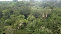 Yangambi Biosphere Reserve