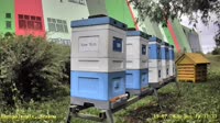 Apiary