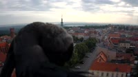 Miniaturka